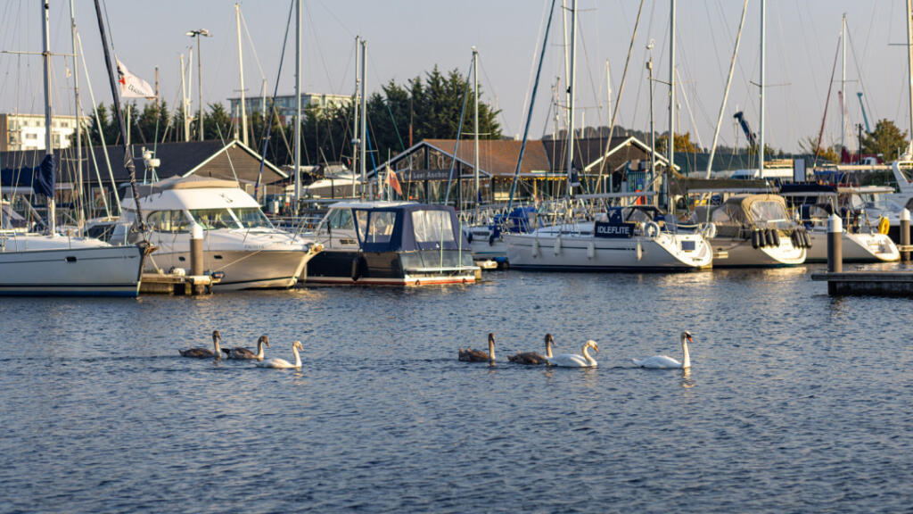 Ipswich Waterfront