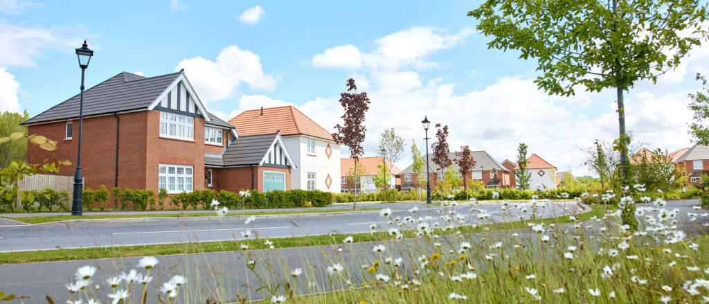 Modern residential houses with well-kept gardens on a sunny day with flowering plants in the foregro