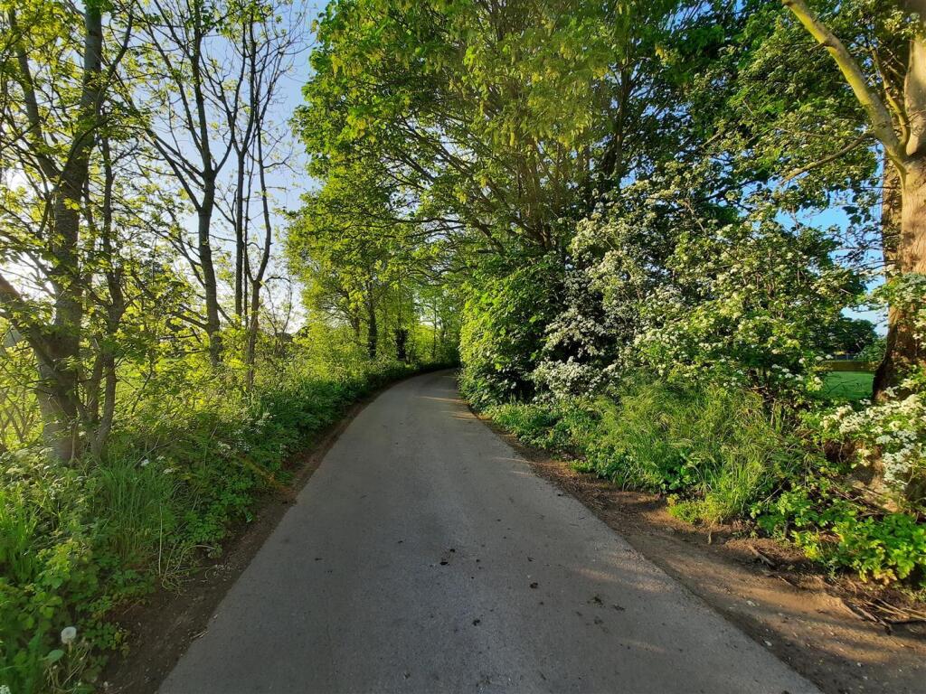 Surrounding Area 4.jpg