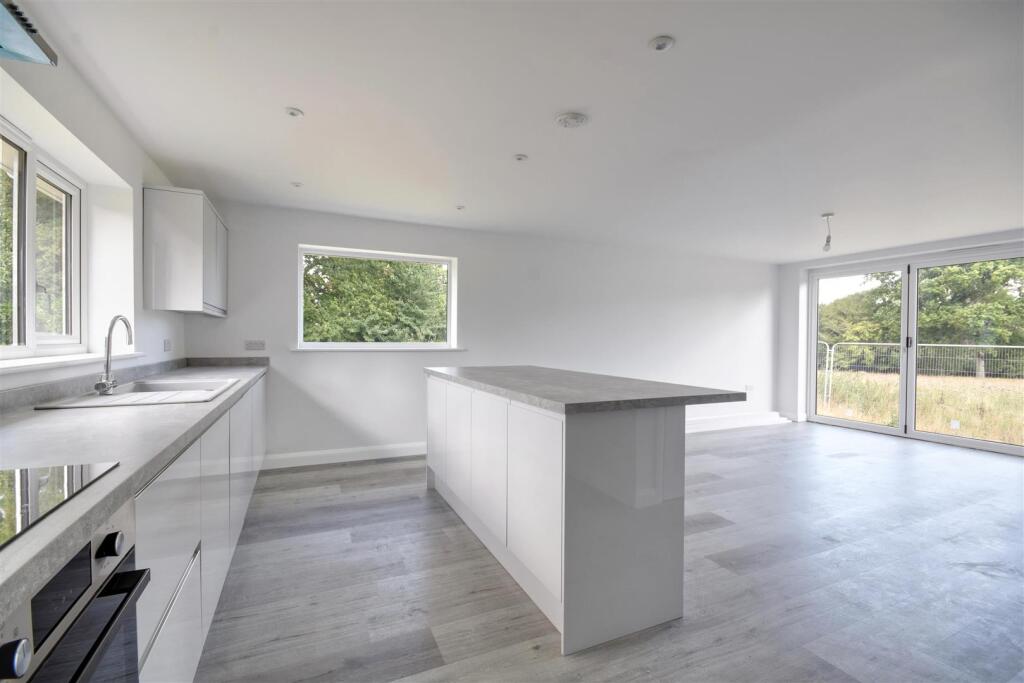 Kitchen / dining / living room