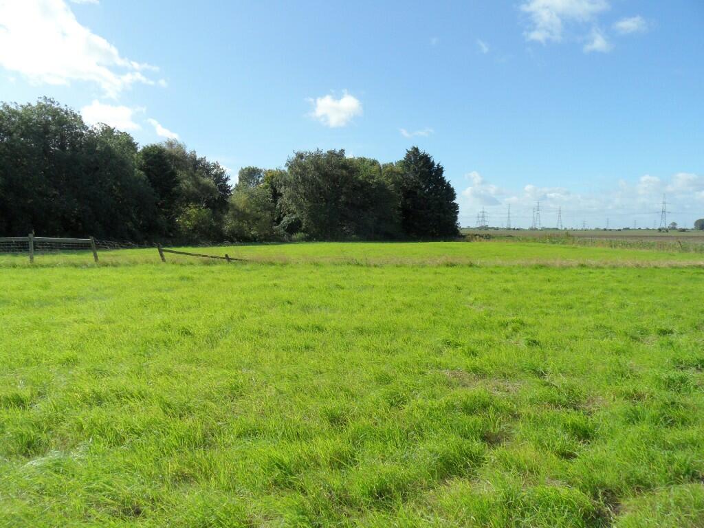PADDOCK LAND