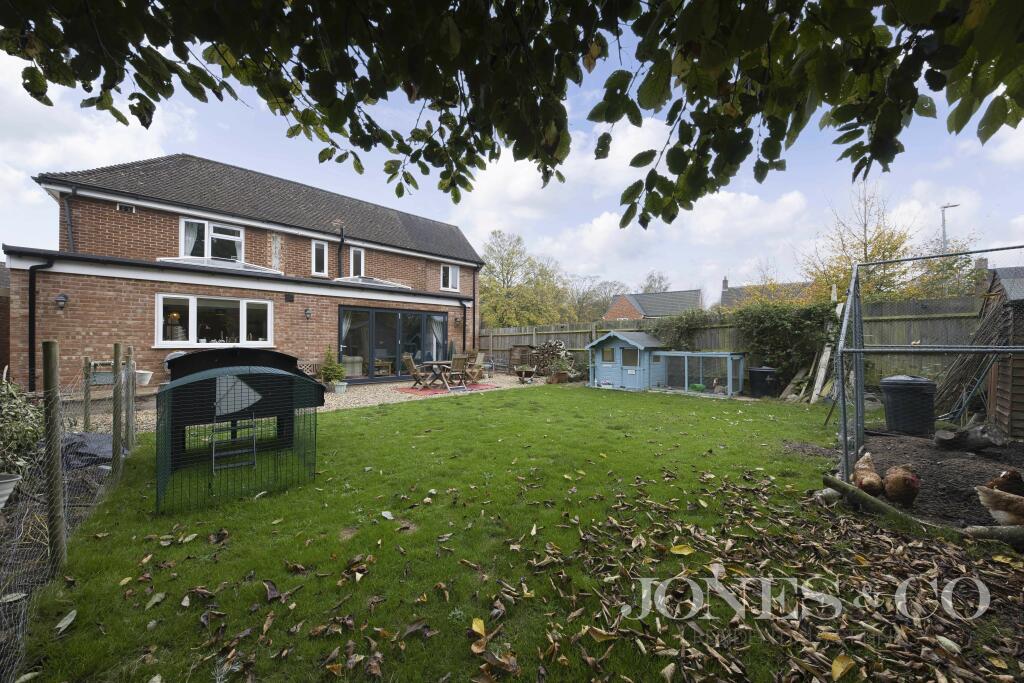Back Garden