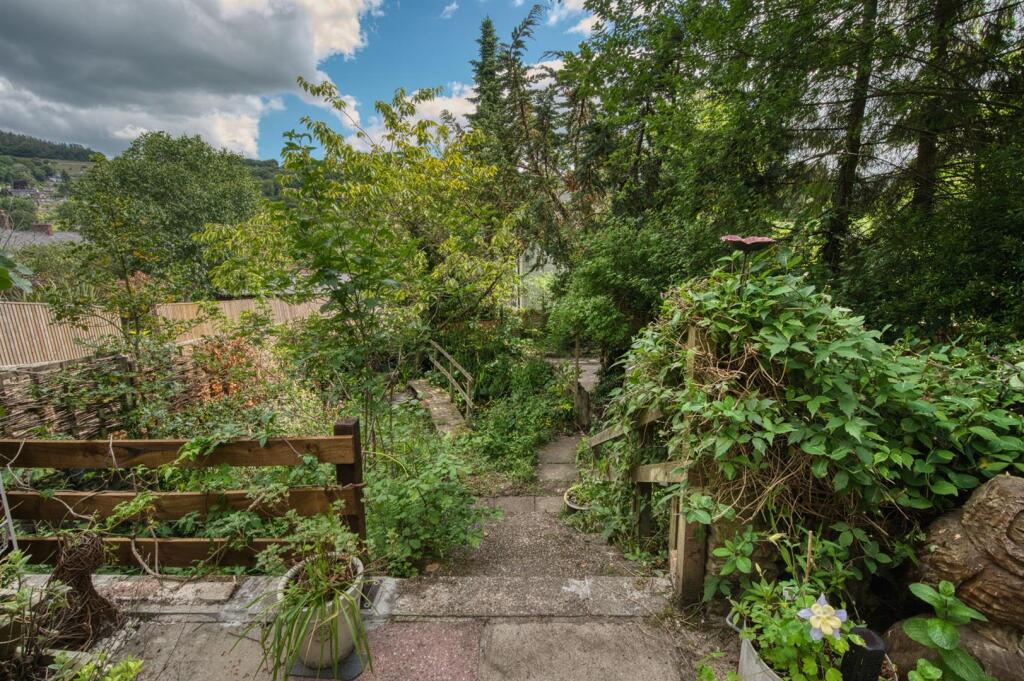Wild garden  .jpg