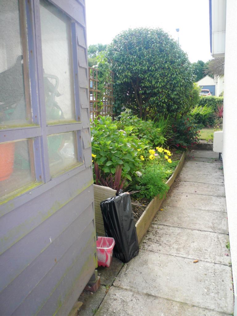 Side Garden