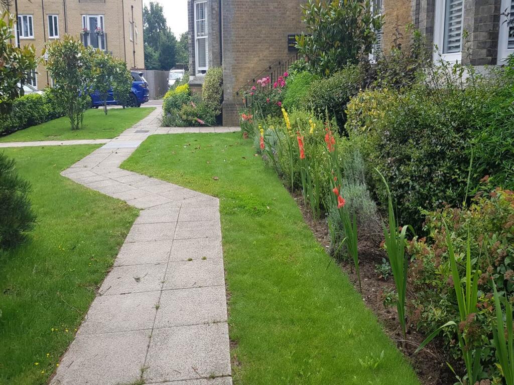 Front garden 3