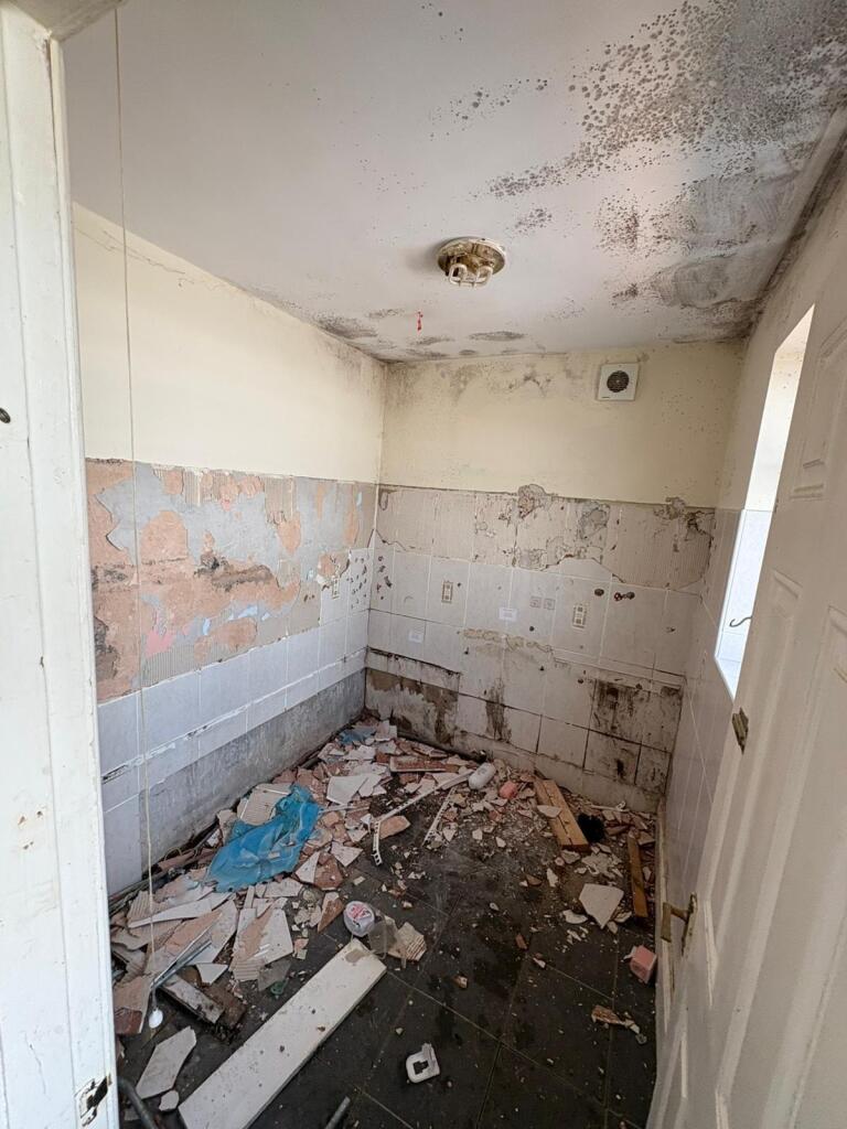 Downstairs Bathroom T202507301513.jpg