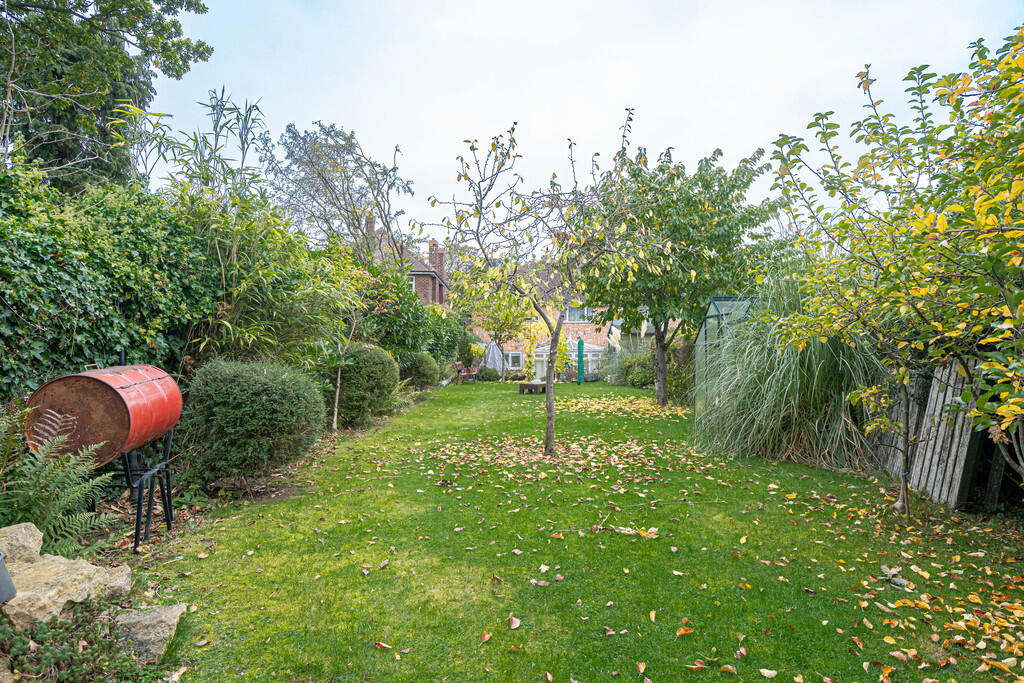 20251015-DSC06991...