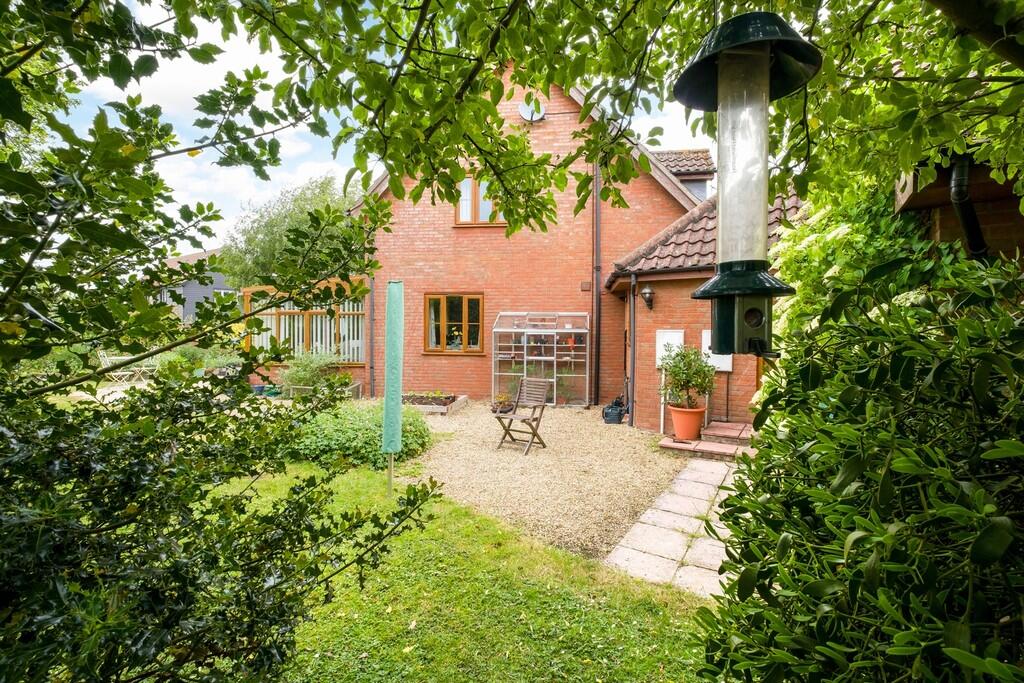 1440px-Hedgehogs-...