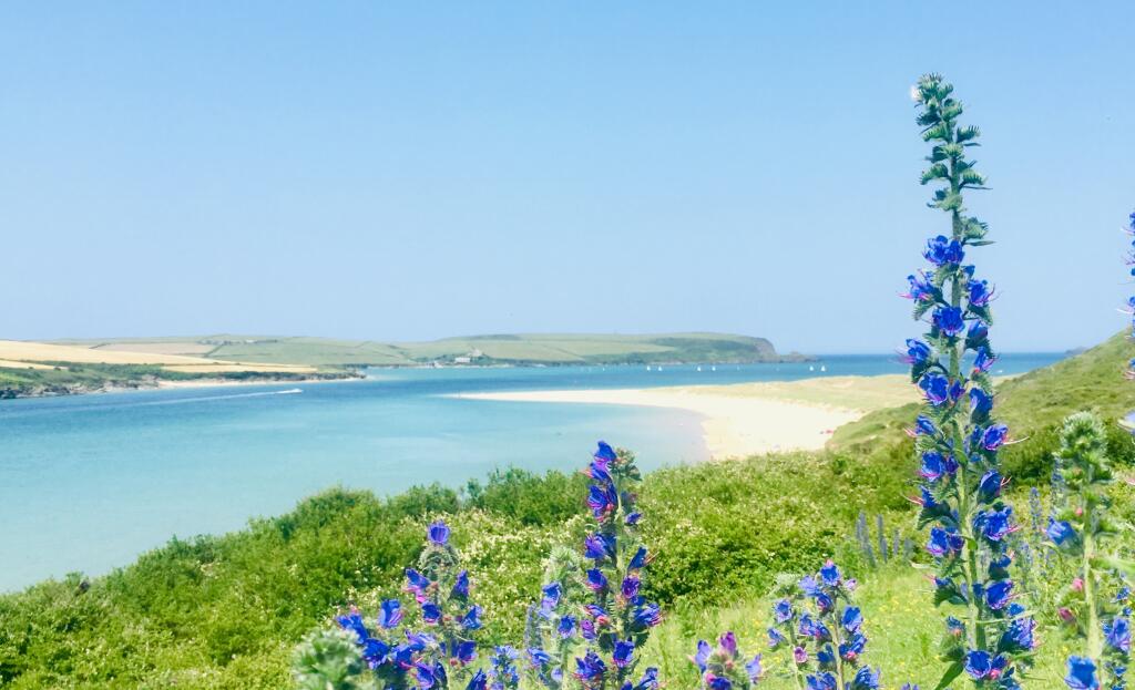 682365f75e88c_Beautiful Camel Estuary towards Ste