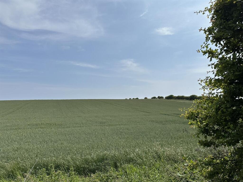 OUTLOOK FROM GARDEN