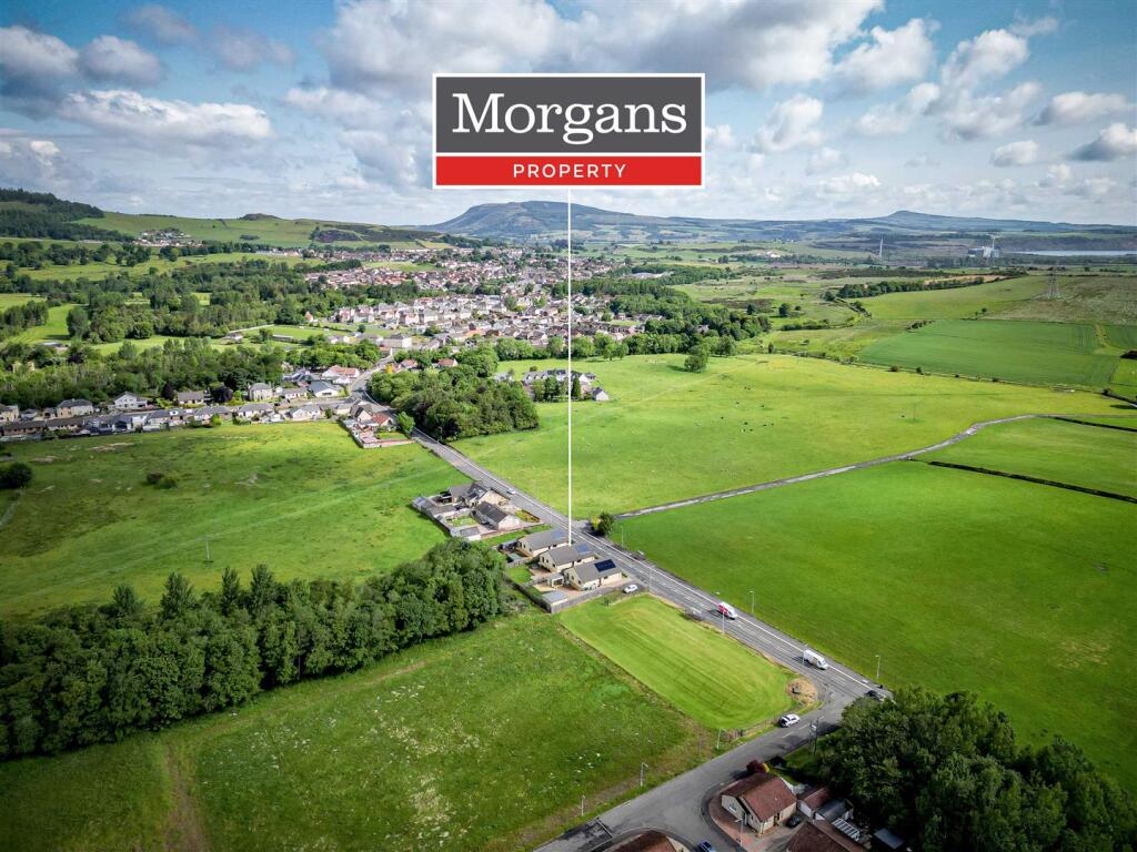 untitled (29 of 1).JPG