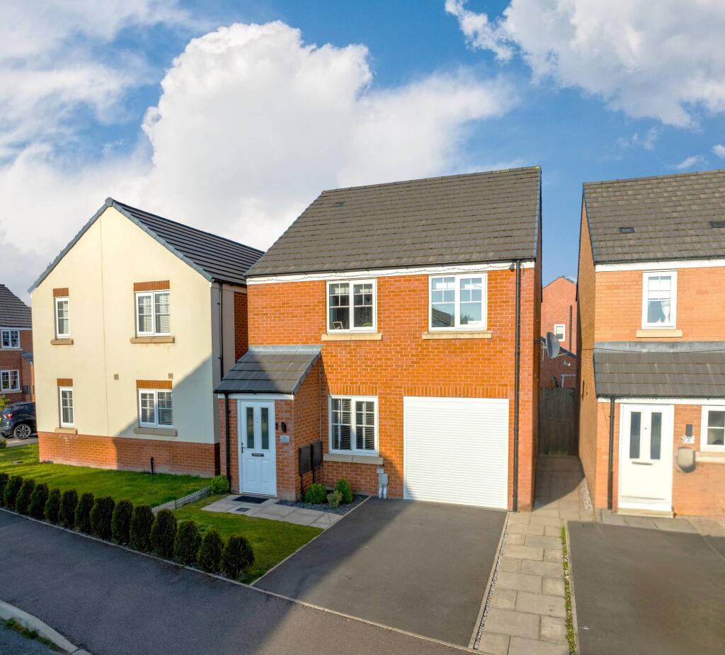 Untitled (5200 x 3900 px) (2)