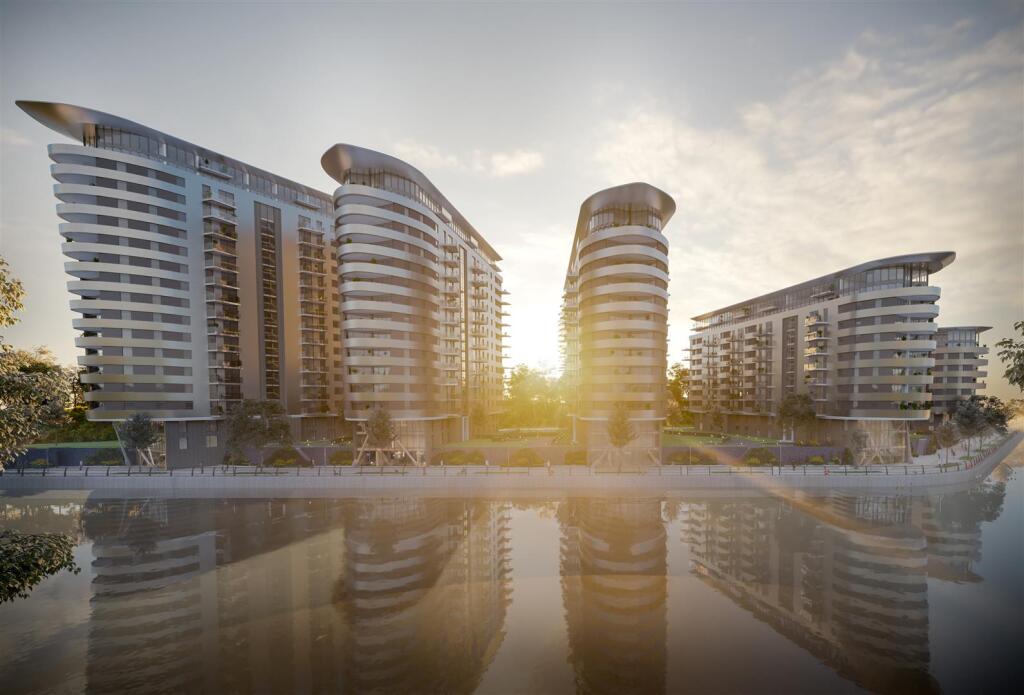 Misty Morning_01.jpg