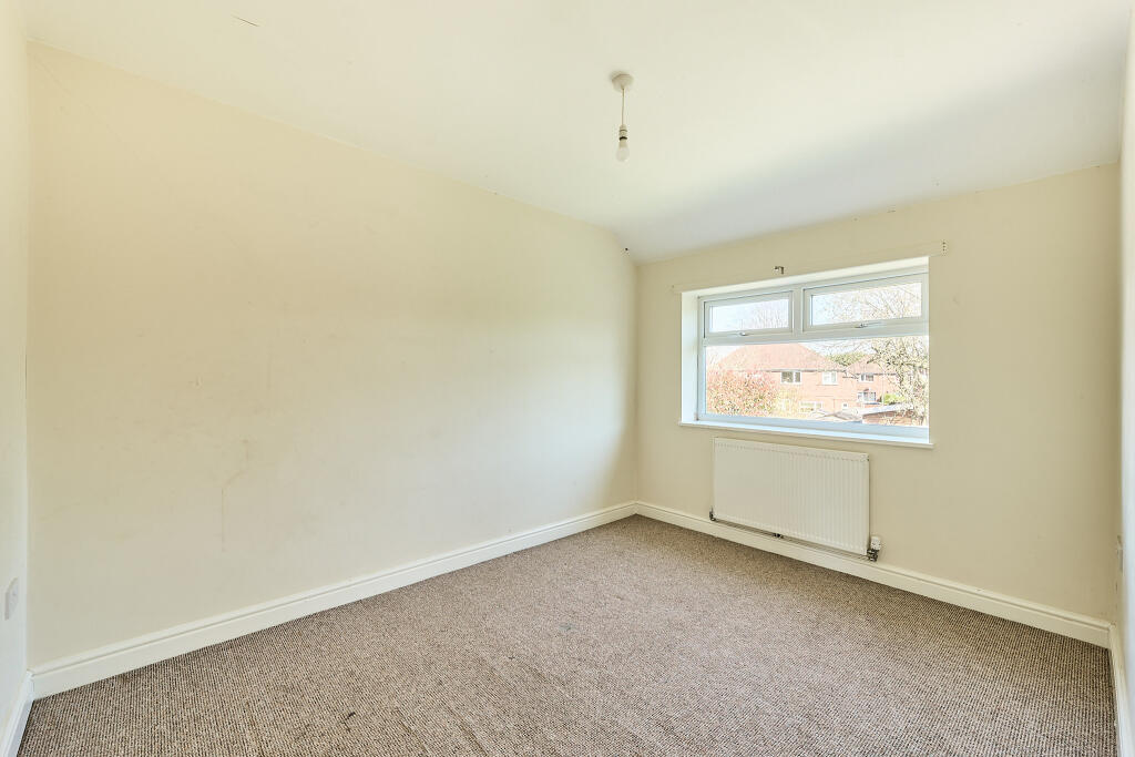 P1427754 HDR T202503271806.jpg