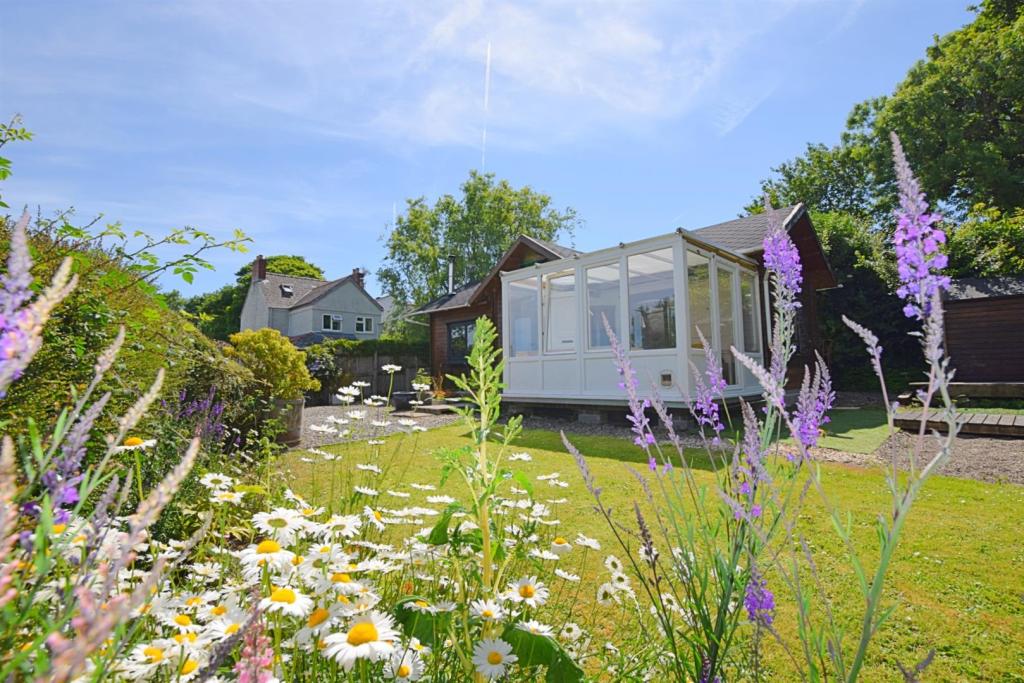 Front Of Cabin