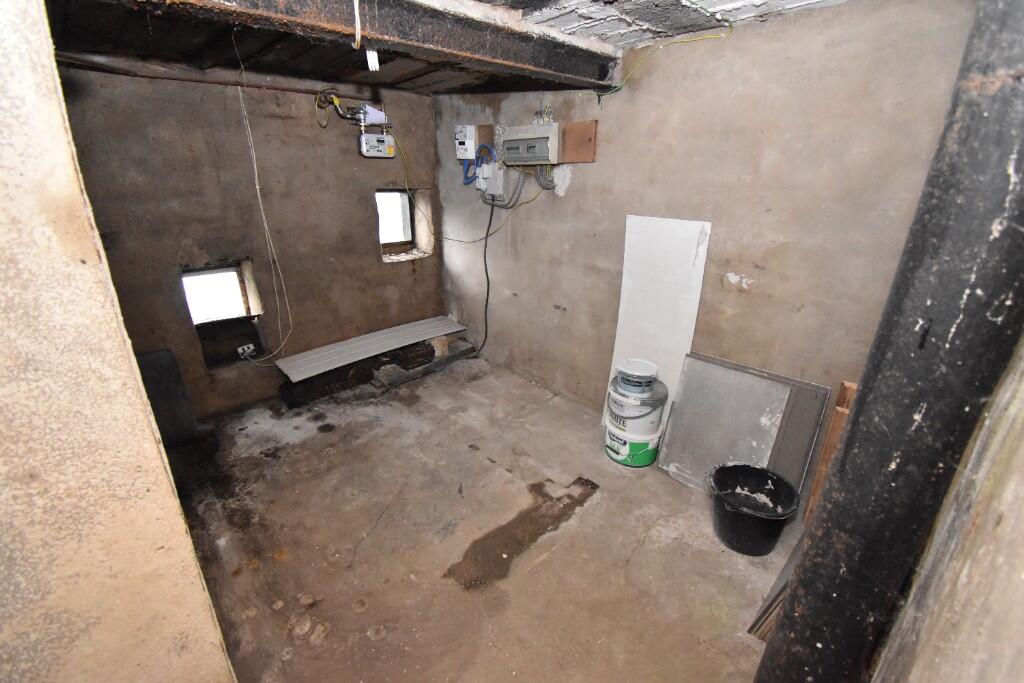 Cellar 