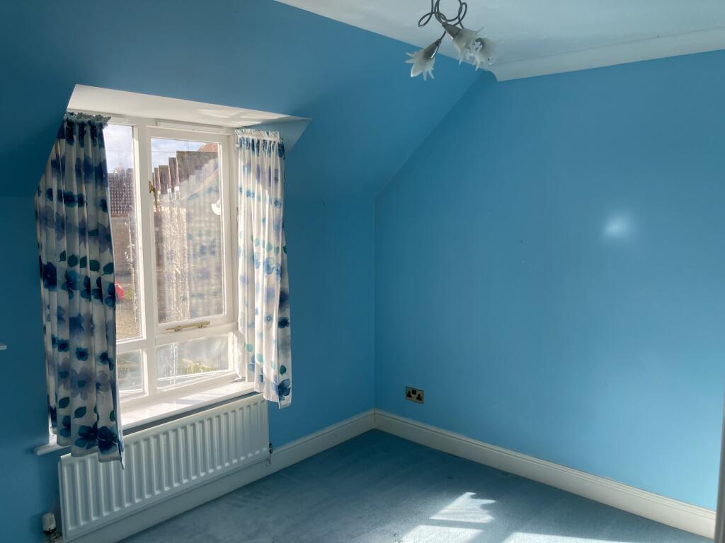 IMG 1983 T202502271445.jpg