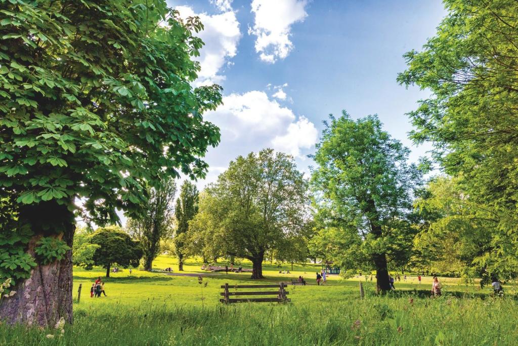 Brockwell Park.jpg