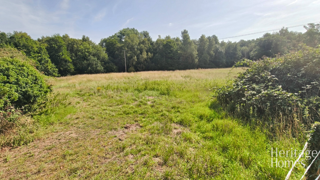 IMG20250813101539-fotor-20250814141223