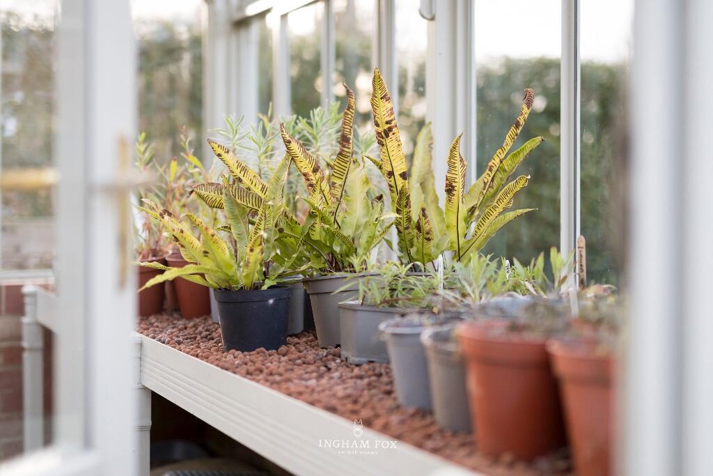 Potting Shed