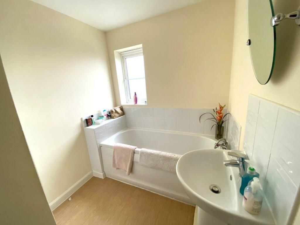 IMG_3033 (Large).JPG