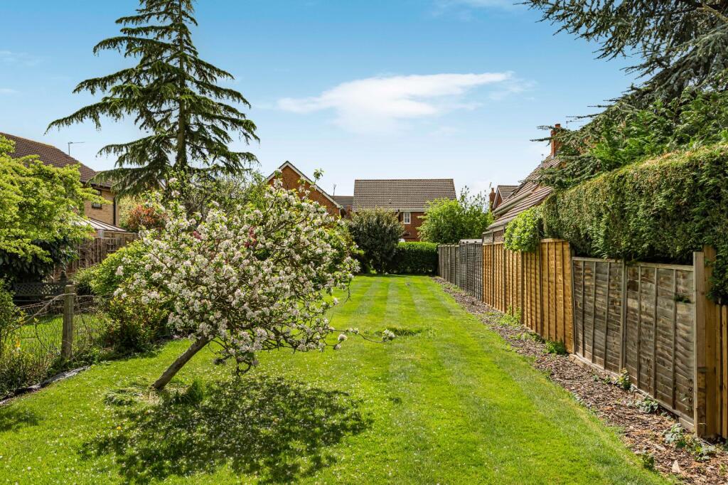 Garden 4