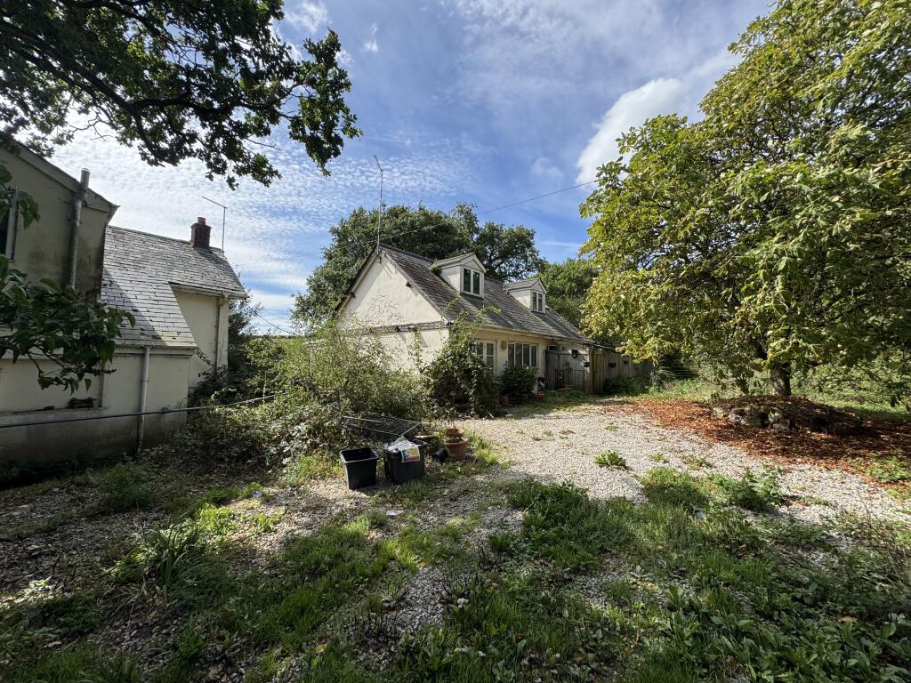 IMG 1860 T202509101641.jpeg