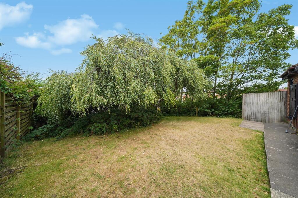 garden.jpg