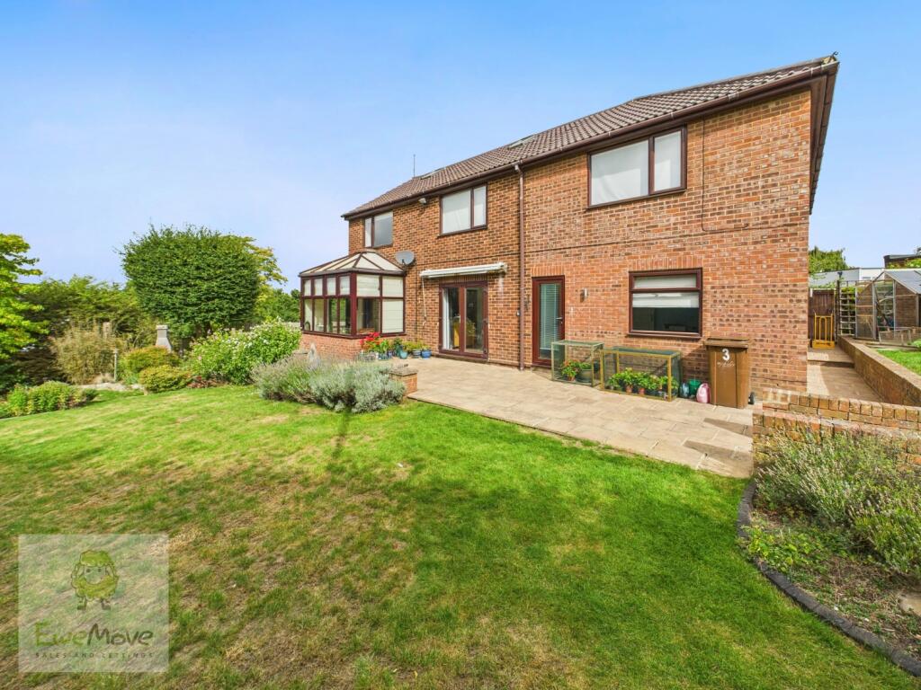 Back of the Property