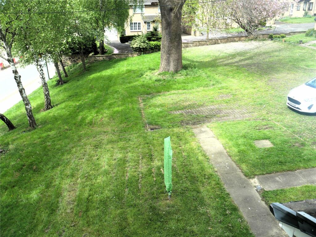 Picture 8