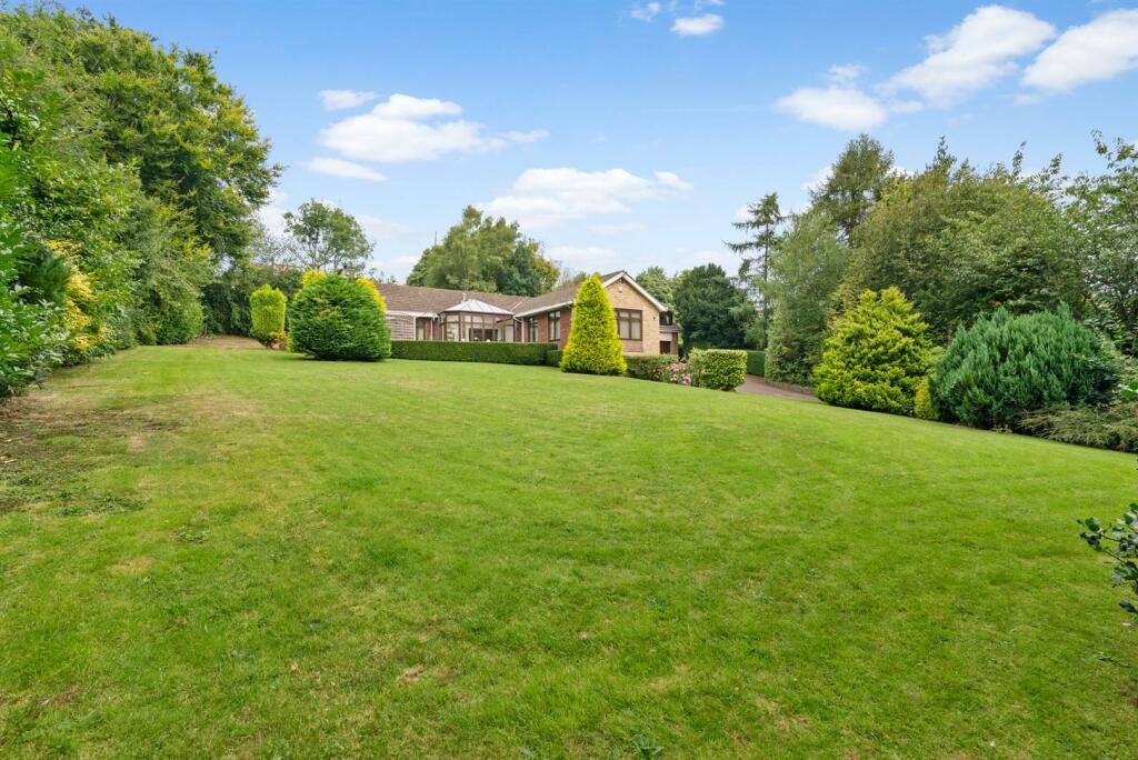 02-96 Graham (2).jpg