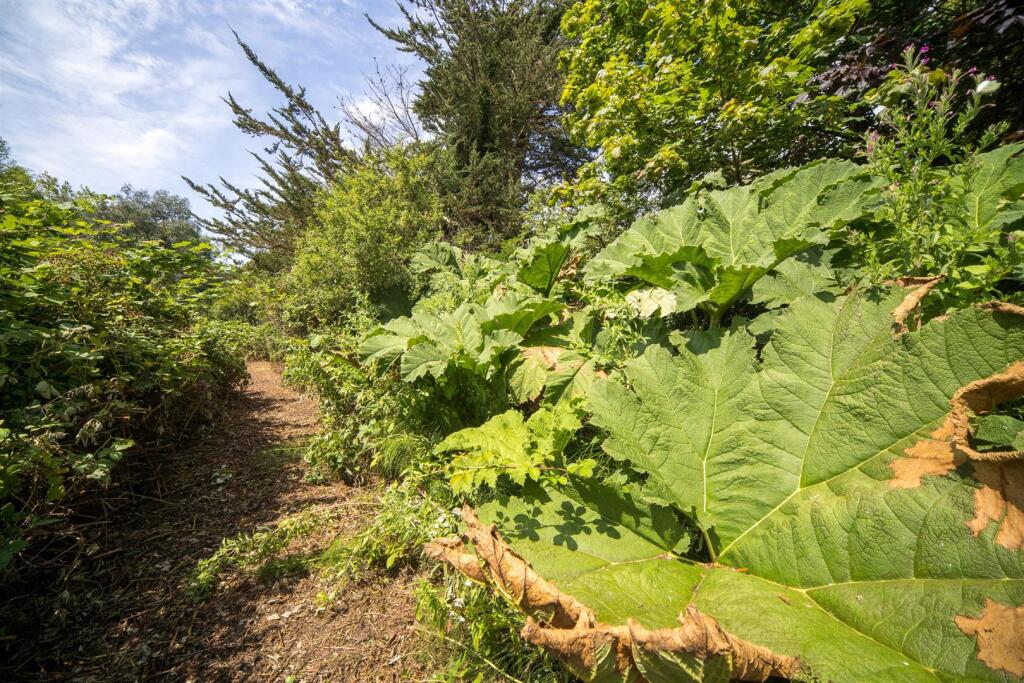 Former Platform.jpeg