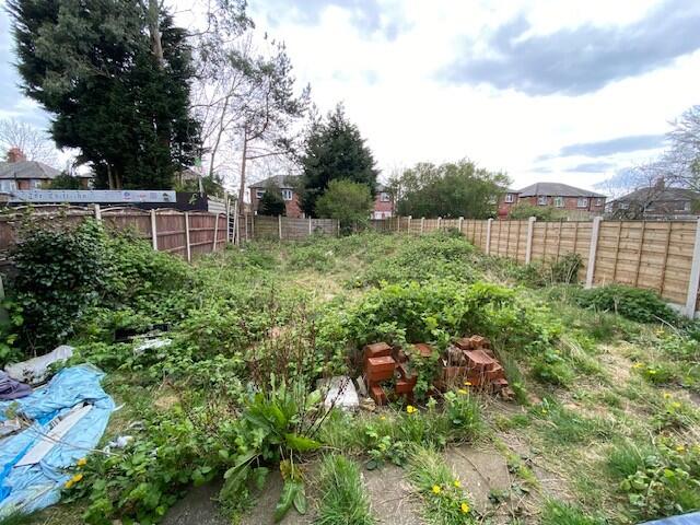 Garden T202508051049.jpg