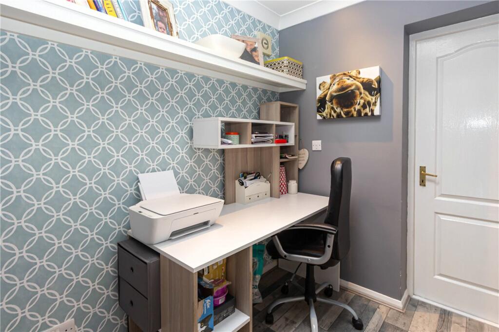 Study Area