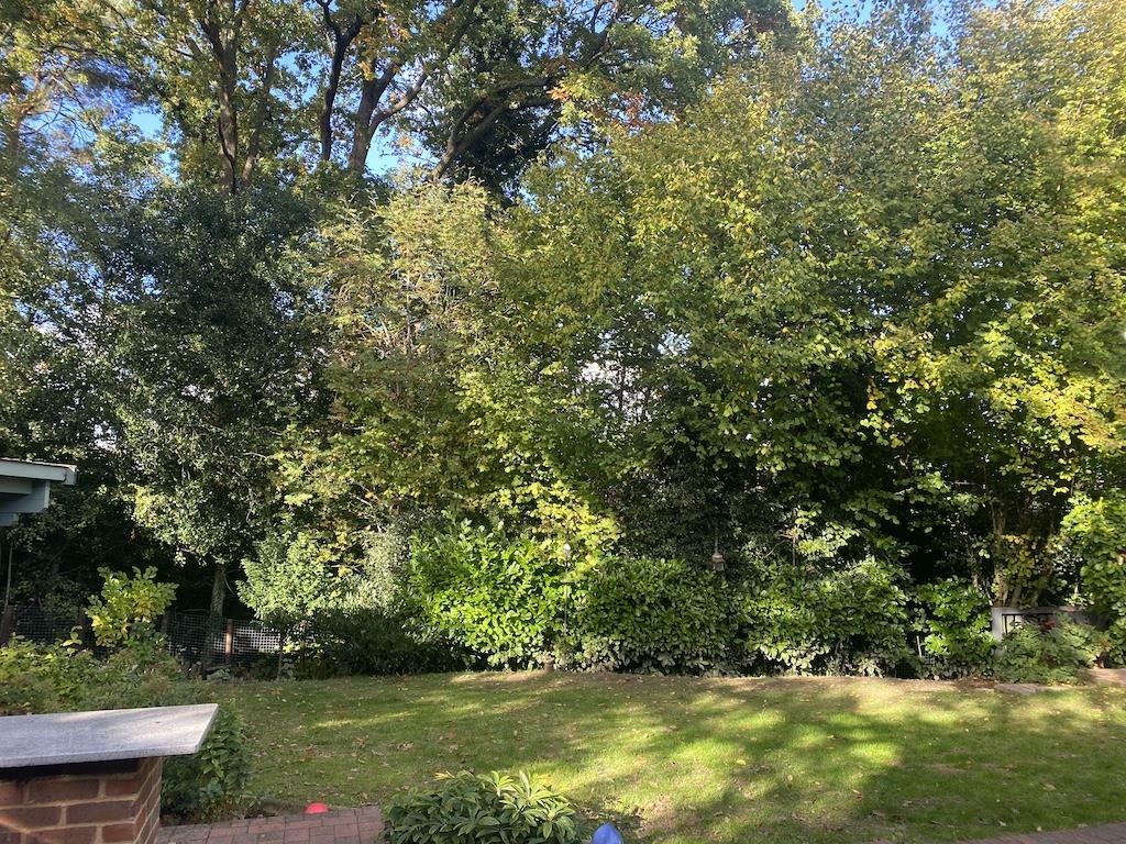 30 - Fully enclosed garden.jpg