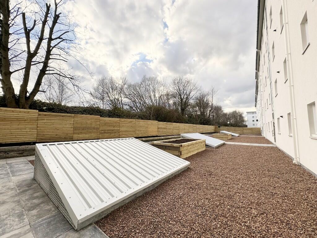 Rear court