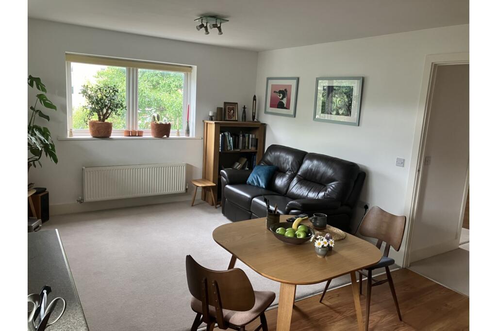 Living / Dining Room