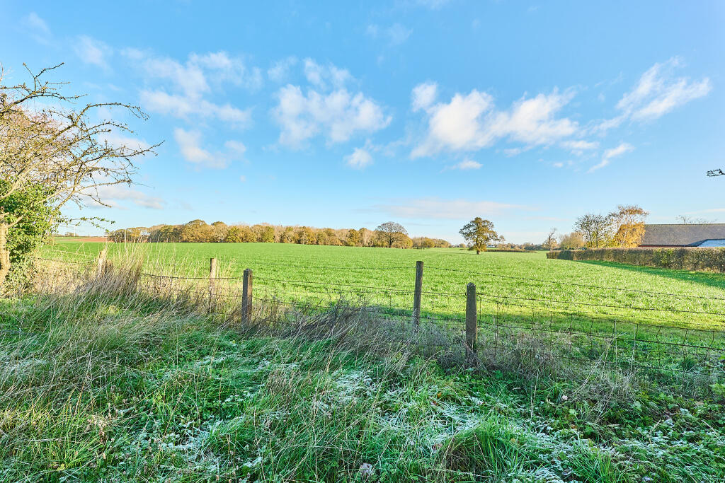 P1617185 T202511201647.jpg