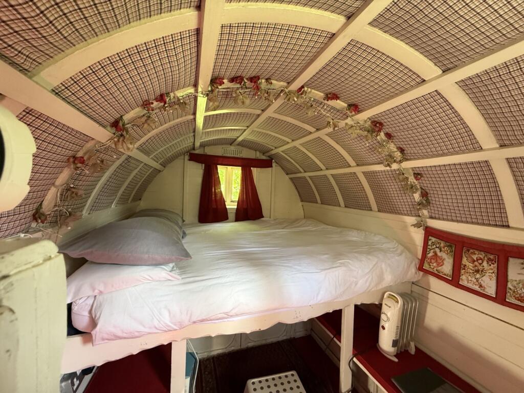 IMG 5340  Large  T202505021202.jpeg