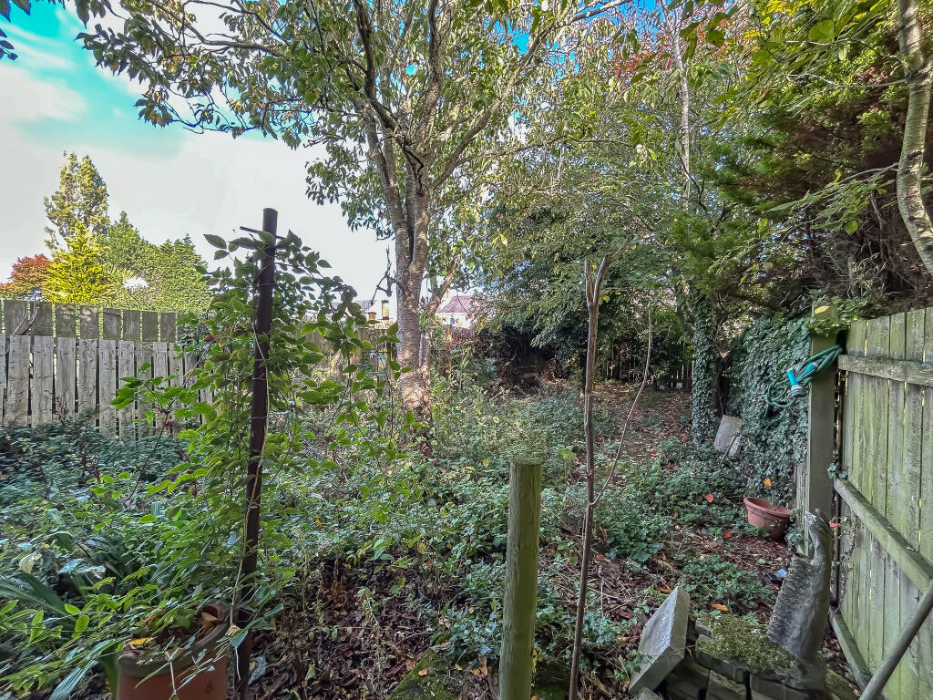 IMG 6903 T202510100925.jpg