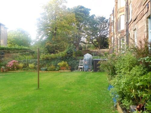 garden a.JPG