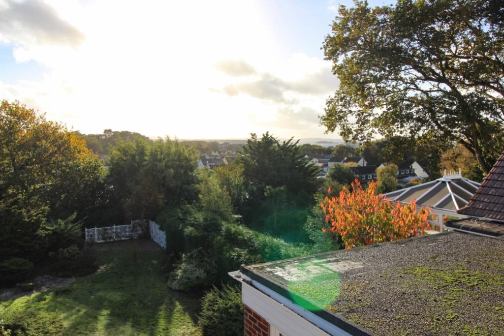 View from Upstairs