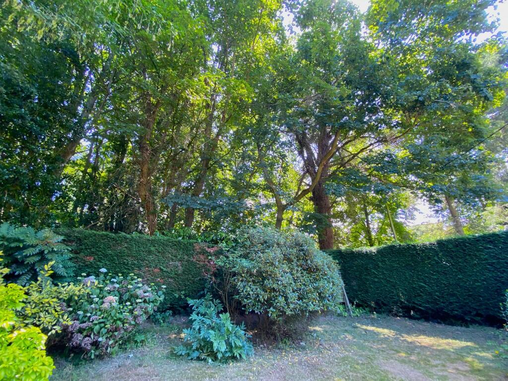 Rear of garden