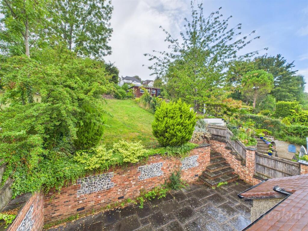 Back garden .jpg