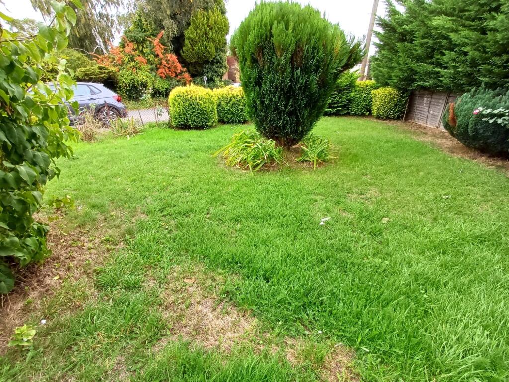 Picture 10