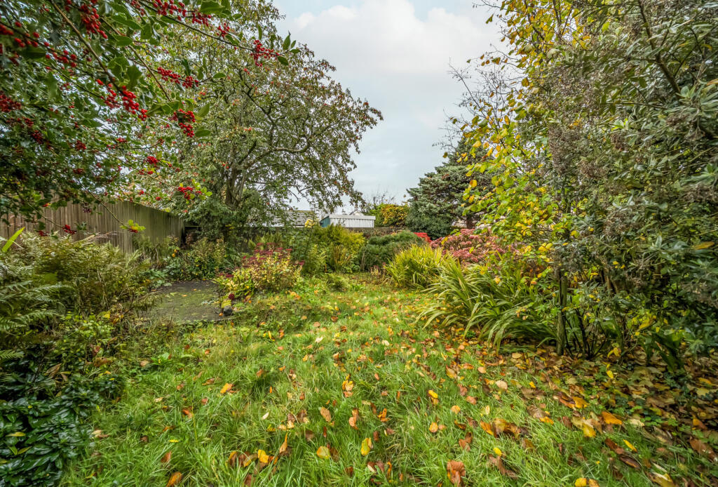 1380630-3-6911e57...