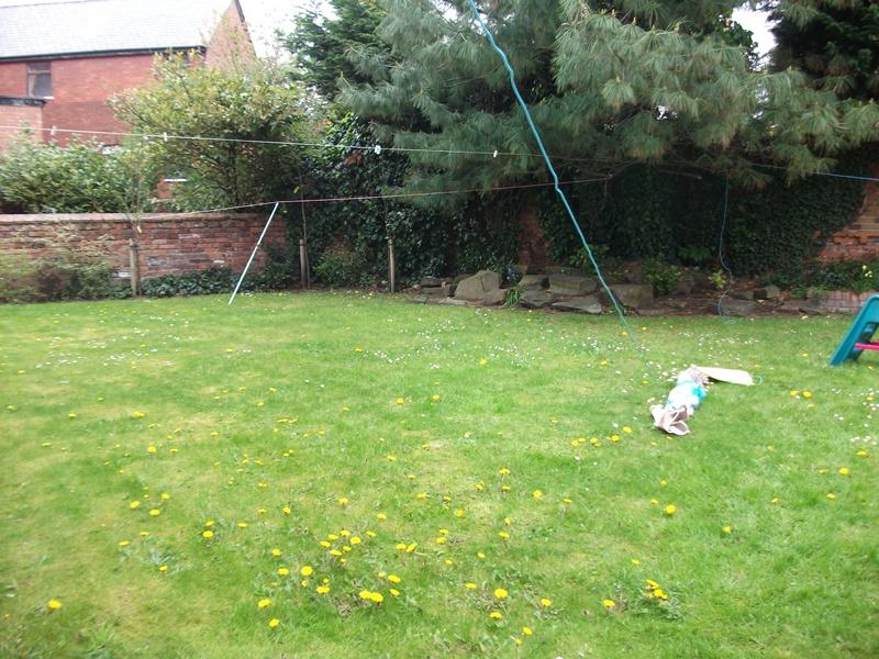 Communal Garden