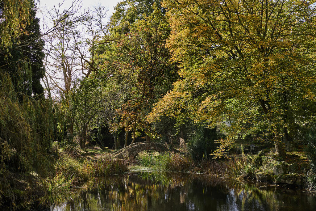 239827 - DGLA1184.jpg