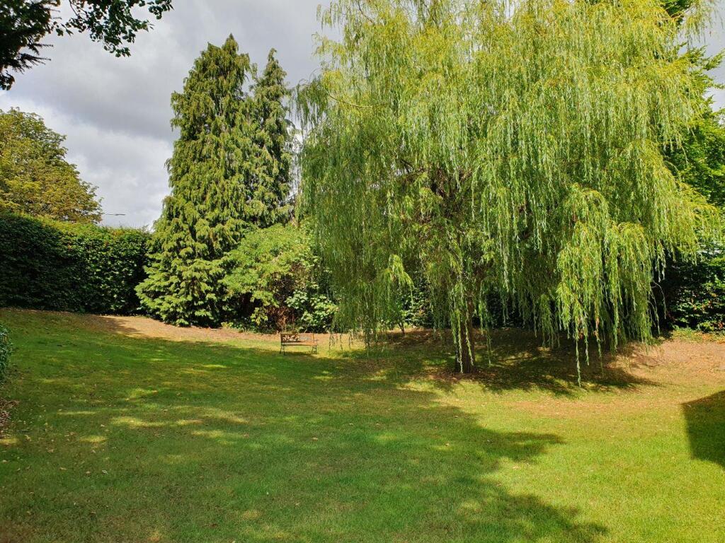 Communal Gardens.jpg