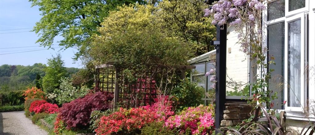Summer Garden
